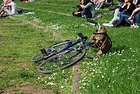 an icon image